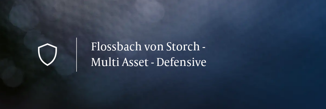 Monatskommentar Multi Asset - Defensive 